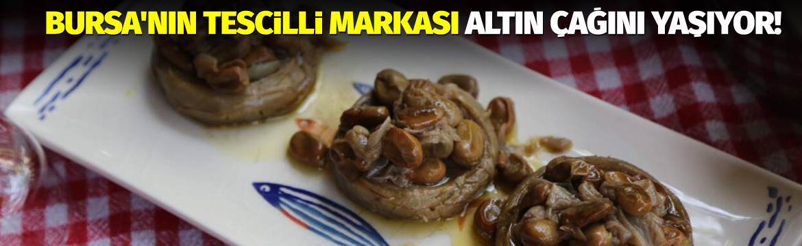 Coğrafi işaret tescilli Hasanağa Enginarı,