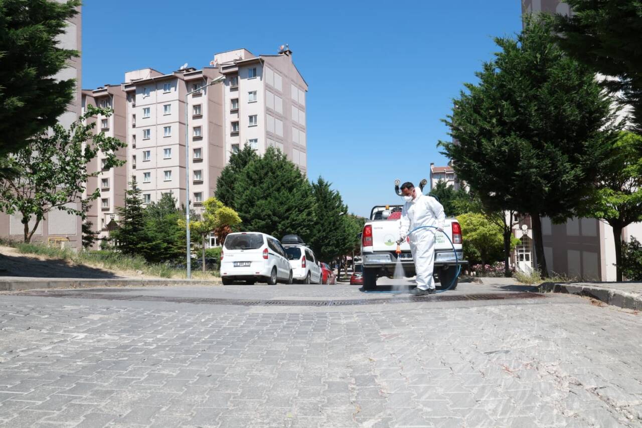 Bursa'nın bu mahallesinde haşere temizliği 2 ilaclama 3