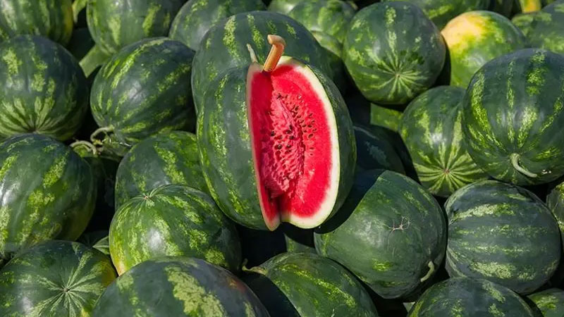 Büyüklüğü ve fiyatı nedeniyle son dönemde tercih edilen dilimlenmiş karpuza