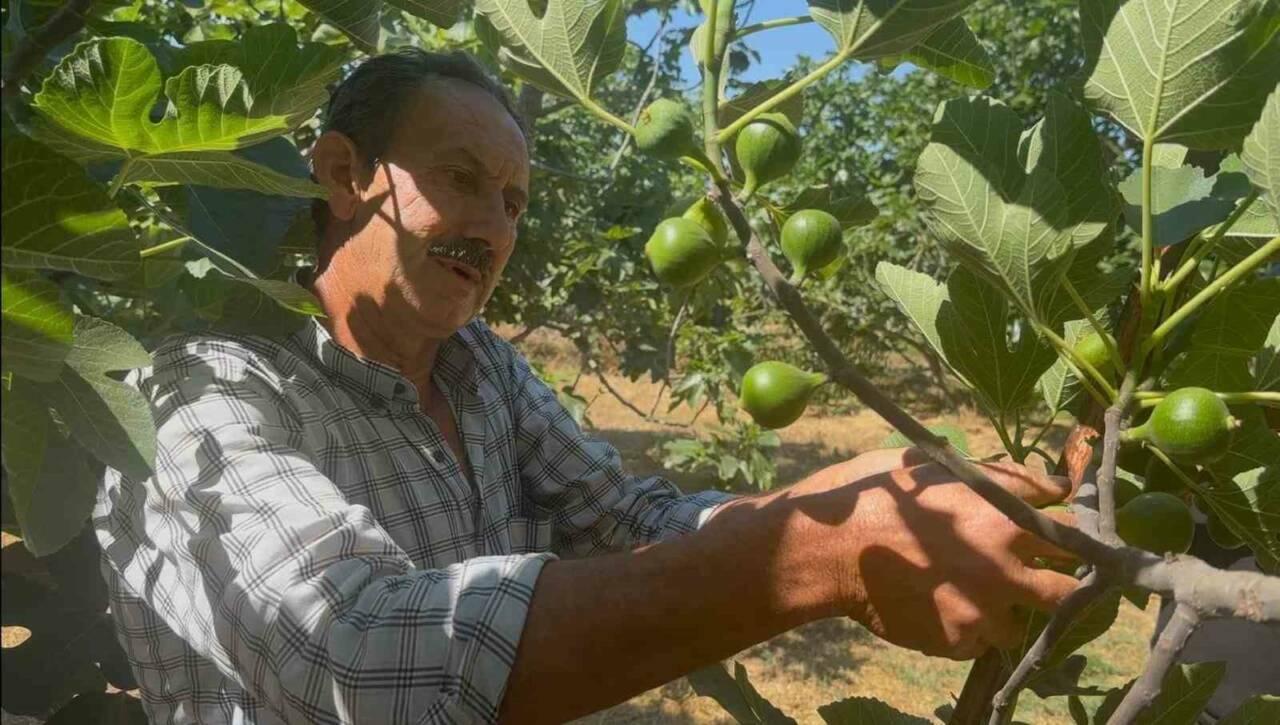 kraliyet mutfagina giren bursa siyahinda kritik donem db5c43d8e840