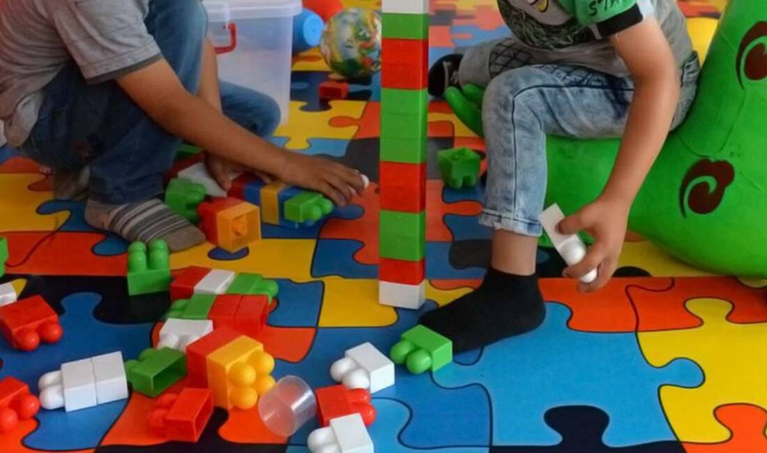 Aile ve Sosyal Hizmetler Bakanlığı tarafından hazırlanan "Kamu Kurum ve