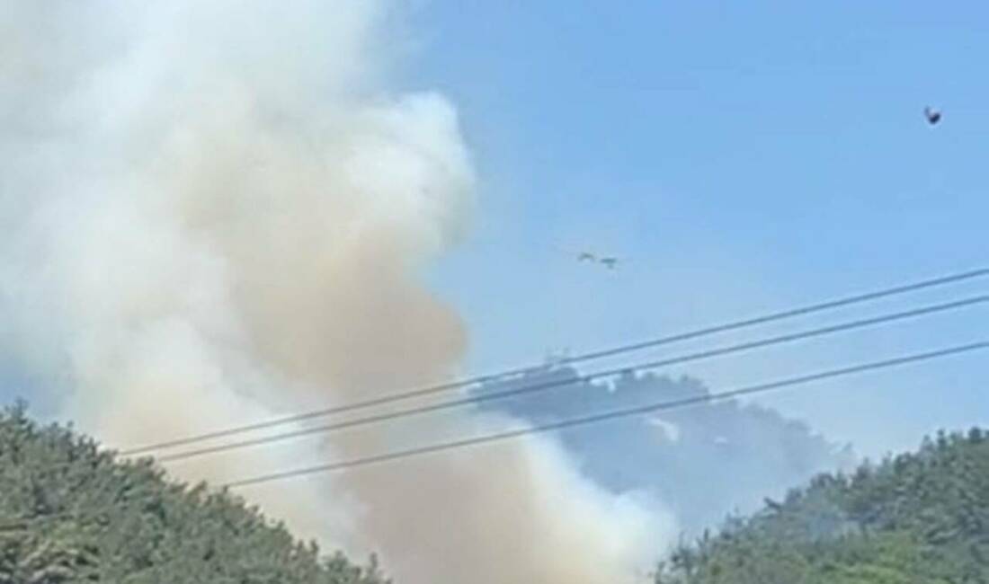 Manisa’da orman yangını Manisa'nın Soma ilçesinde orman yangını çıktı. Ekipler, alevlere havadan ve