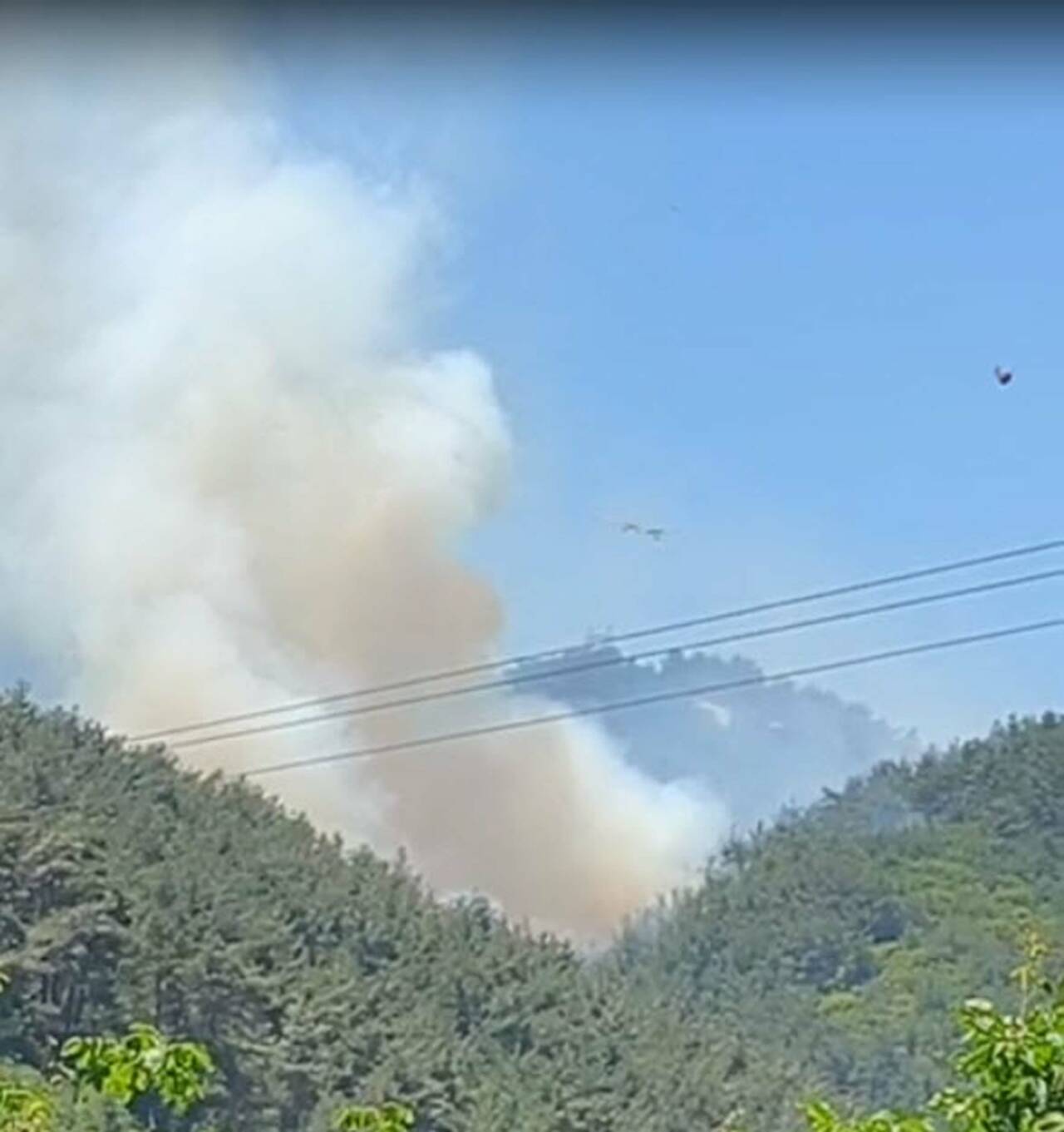 Manisa'da orman yangını 4 manisada orman yangini 06c4ef8b7f50