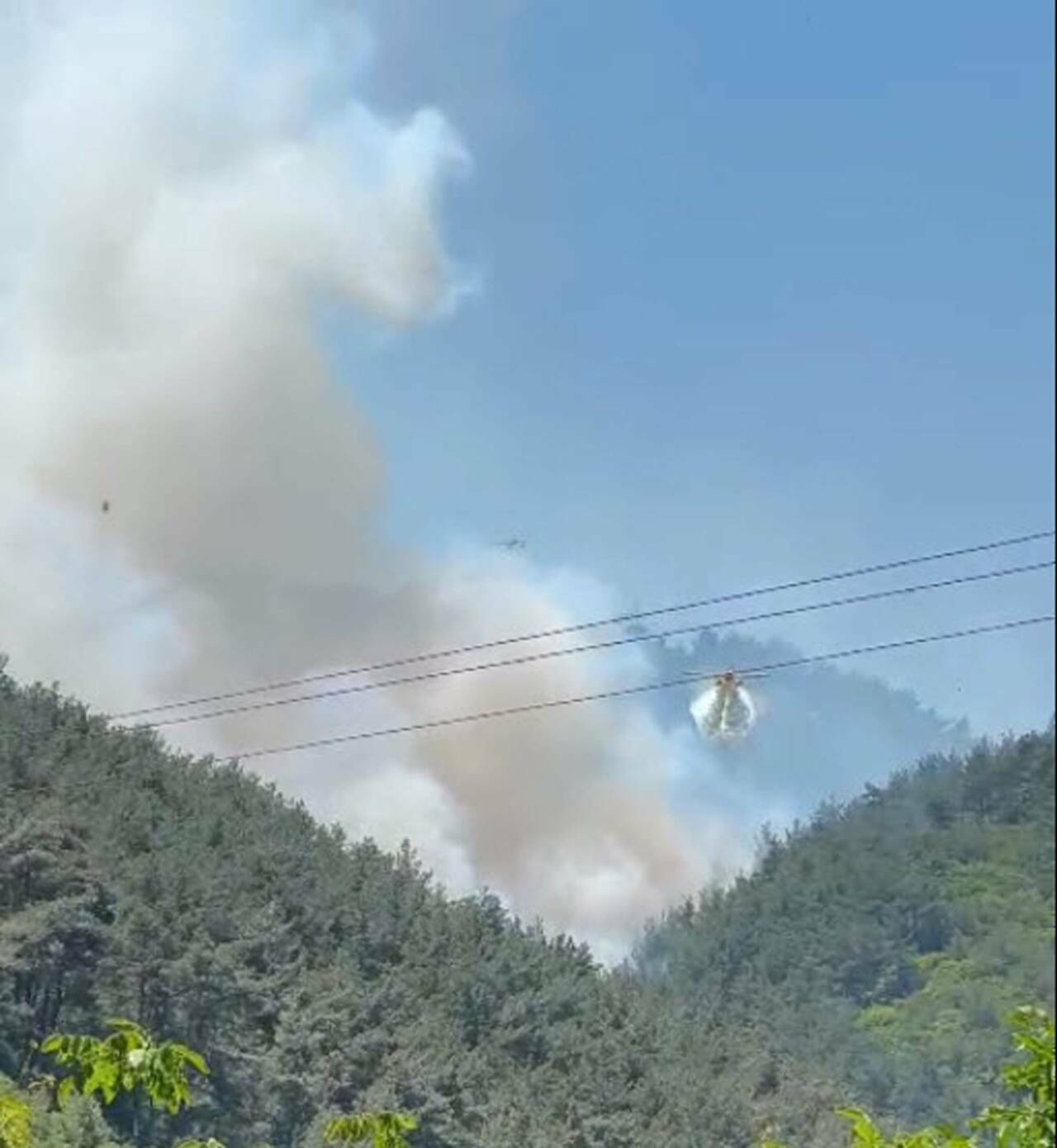 Manisa'da orman yangını 1 manisada orman yangini 9691cf4e6241