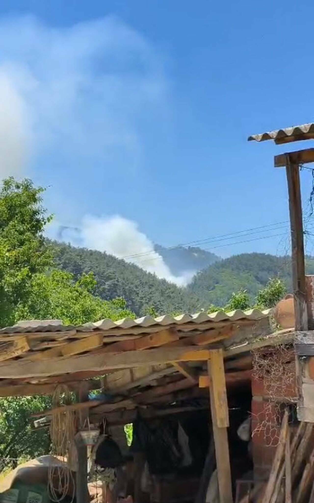 Manisa'da orman yangını 3 manisada orman yangini cb403771b8ad