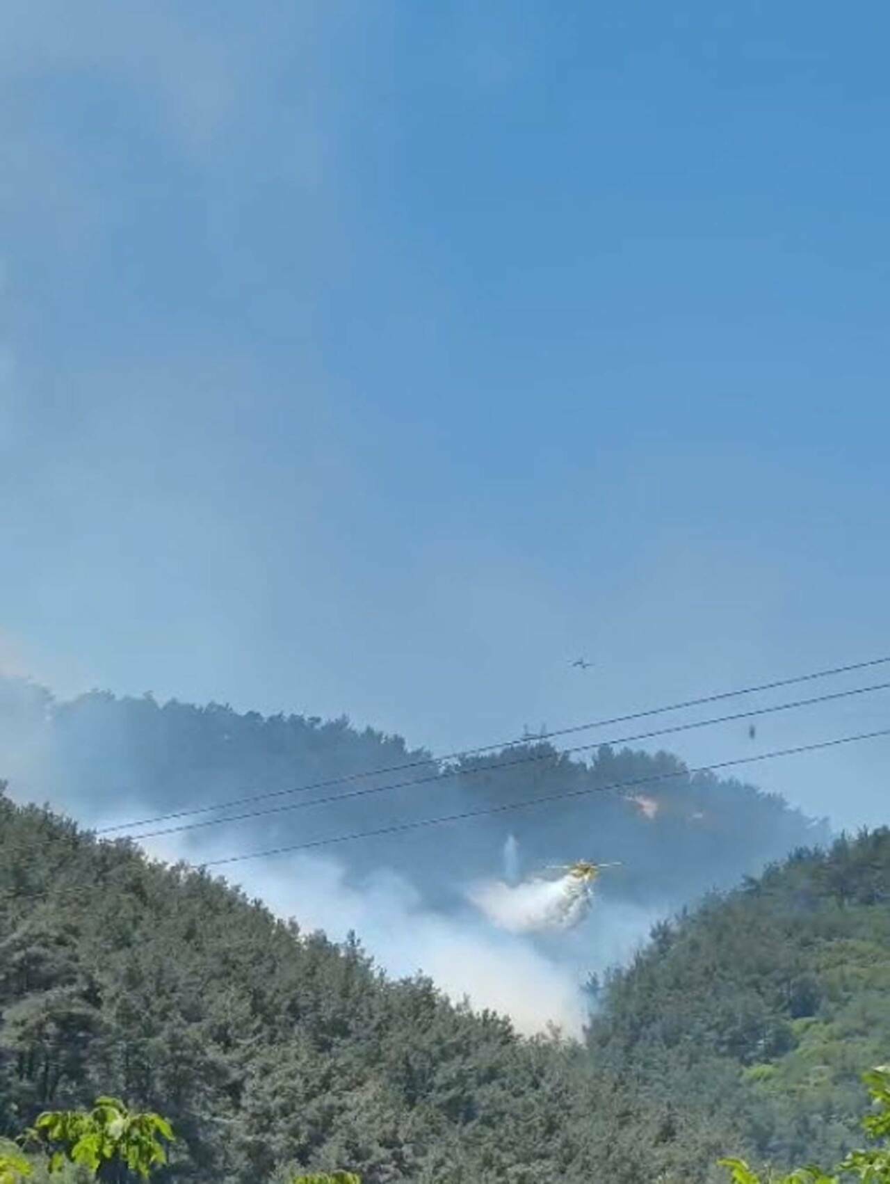 Manisa'da orman yangını 2 manisada orman yangini d7917a5cb026