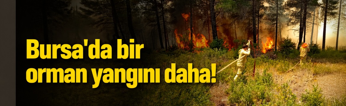 ​Bursa'nın Orhaneli ilçesine bağlı Yörükler