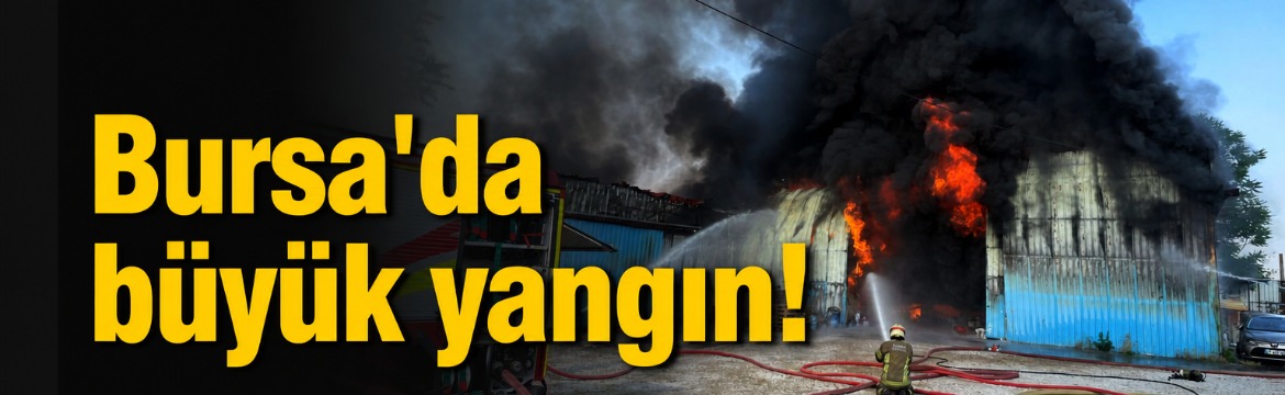 Bursa'nın Osmangazi ilçesindeki bir boya