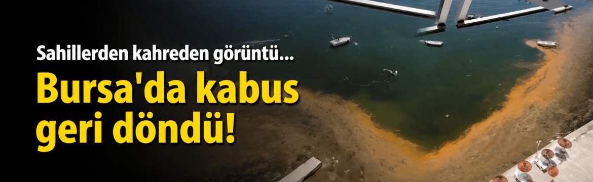Olay Gazetesi – Ana Sayfa 4 Marmara Denizi’nde son yıllarda dönem