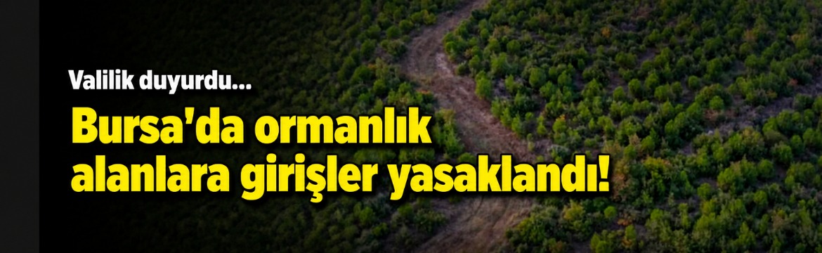 Bursa Valiliği'nden orman yangınları ile