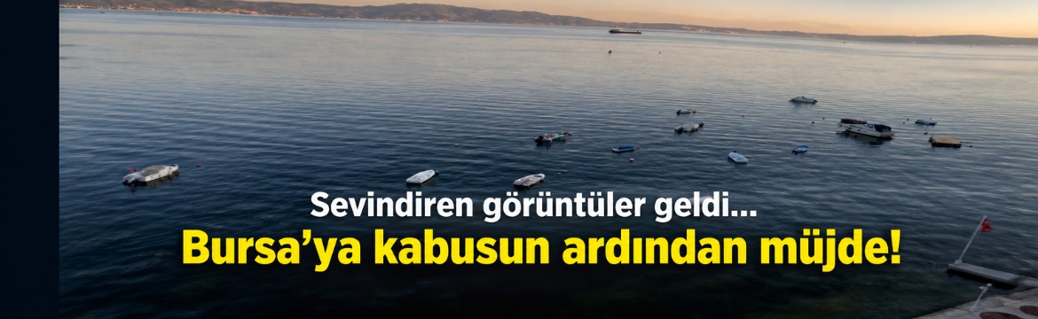 Olay Gazetesi – Ana Sayfa 4 Marmara Denizi’nde geçtiğimiz hafta müsilaj