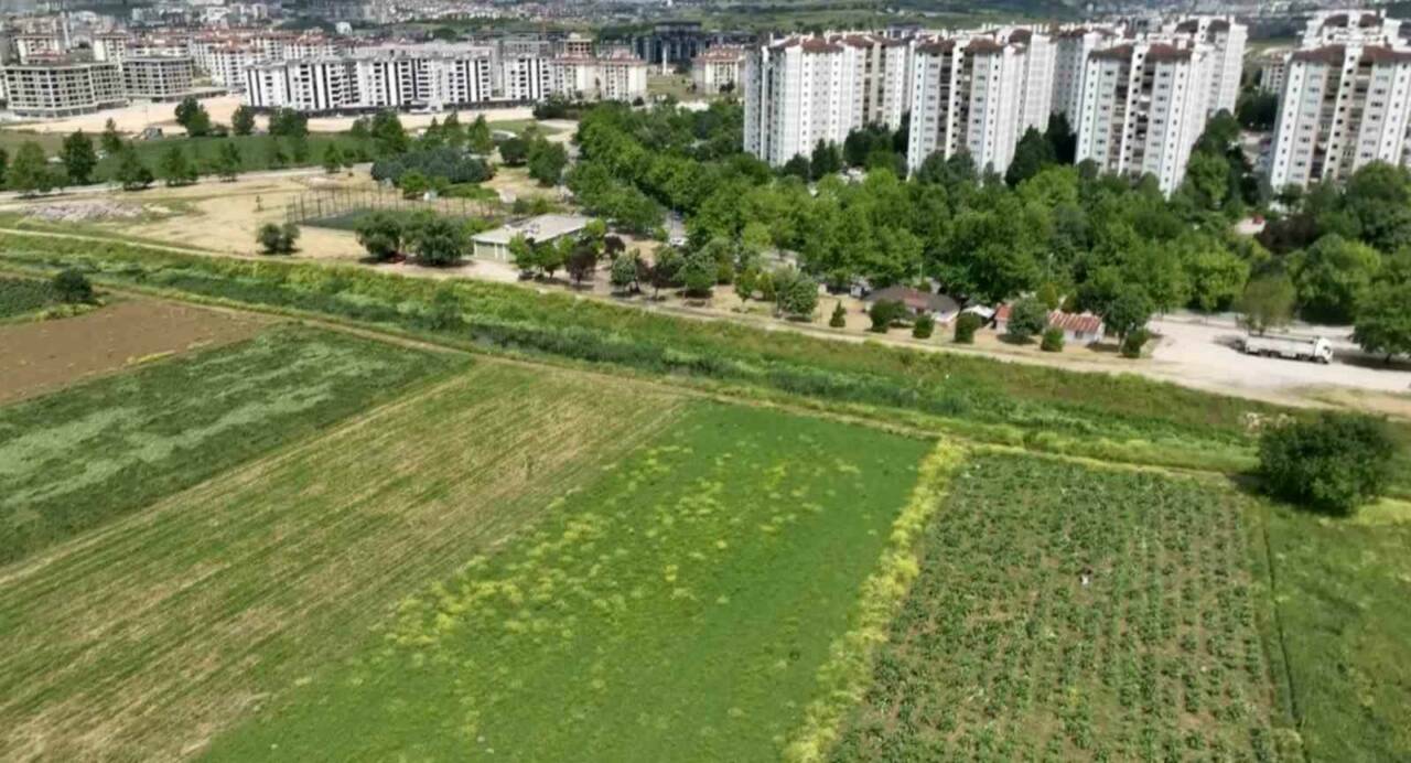 milyonlarca liralik konutlarin arasinda tarimsal uretim mucadelesi fe23b5f0ba51