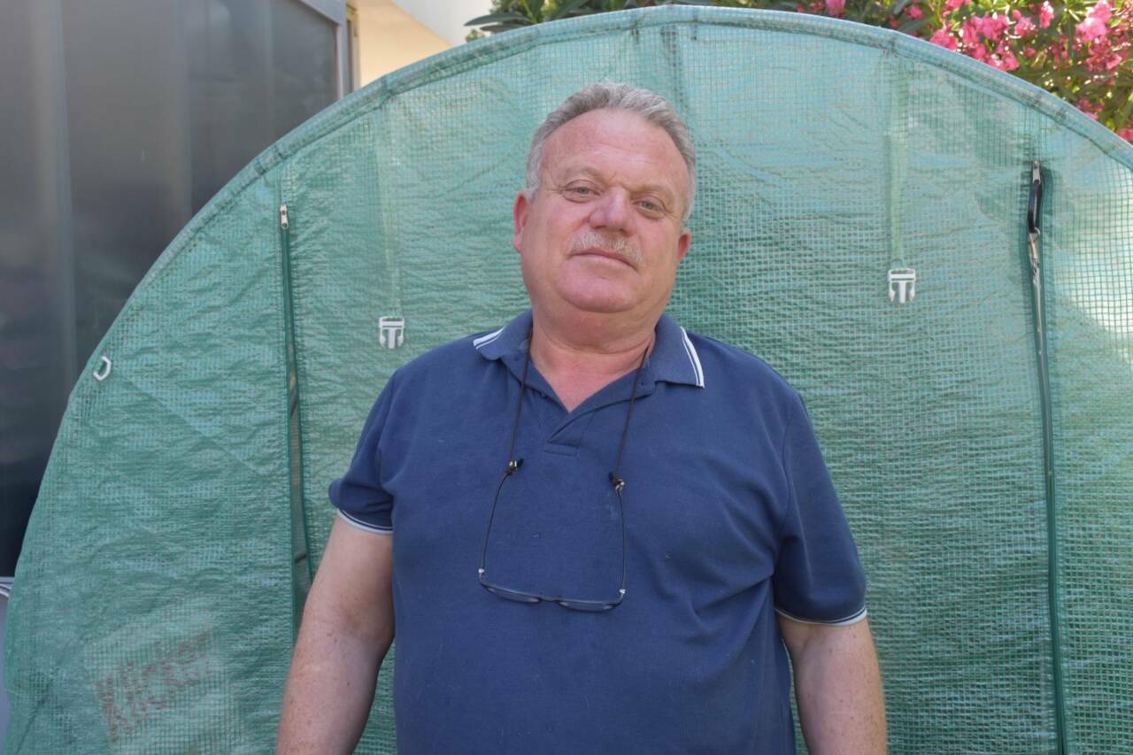 Şaşkına çeviren olay! Erkek sanılan kedi doğum yaptı 6 sasirtan olay erkek sanilan kedi dogum yapti 2af6ec44efdf