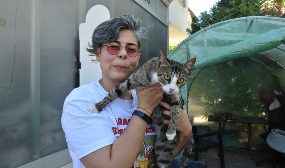 Şaşkına çeviren olay! Erkek sanılan kedi doğum yaptı İzmir'in Urla ilçesinde yaşayan Aylin Bermant'ın (44), 13 aydır erkek