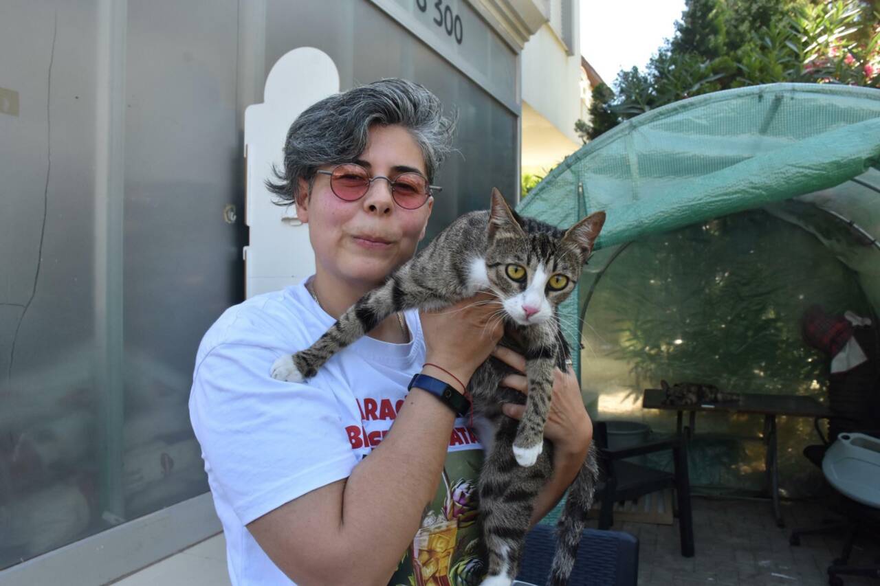 Şaşkına çeviren olay! Erkek sanılan kedi doğum yaptı 7 sasirtan olay erkek sanilan kedi dogum yapti 54fb5e7b9bdb