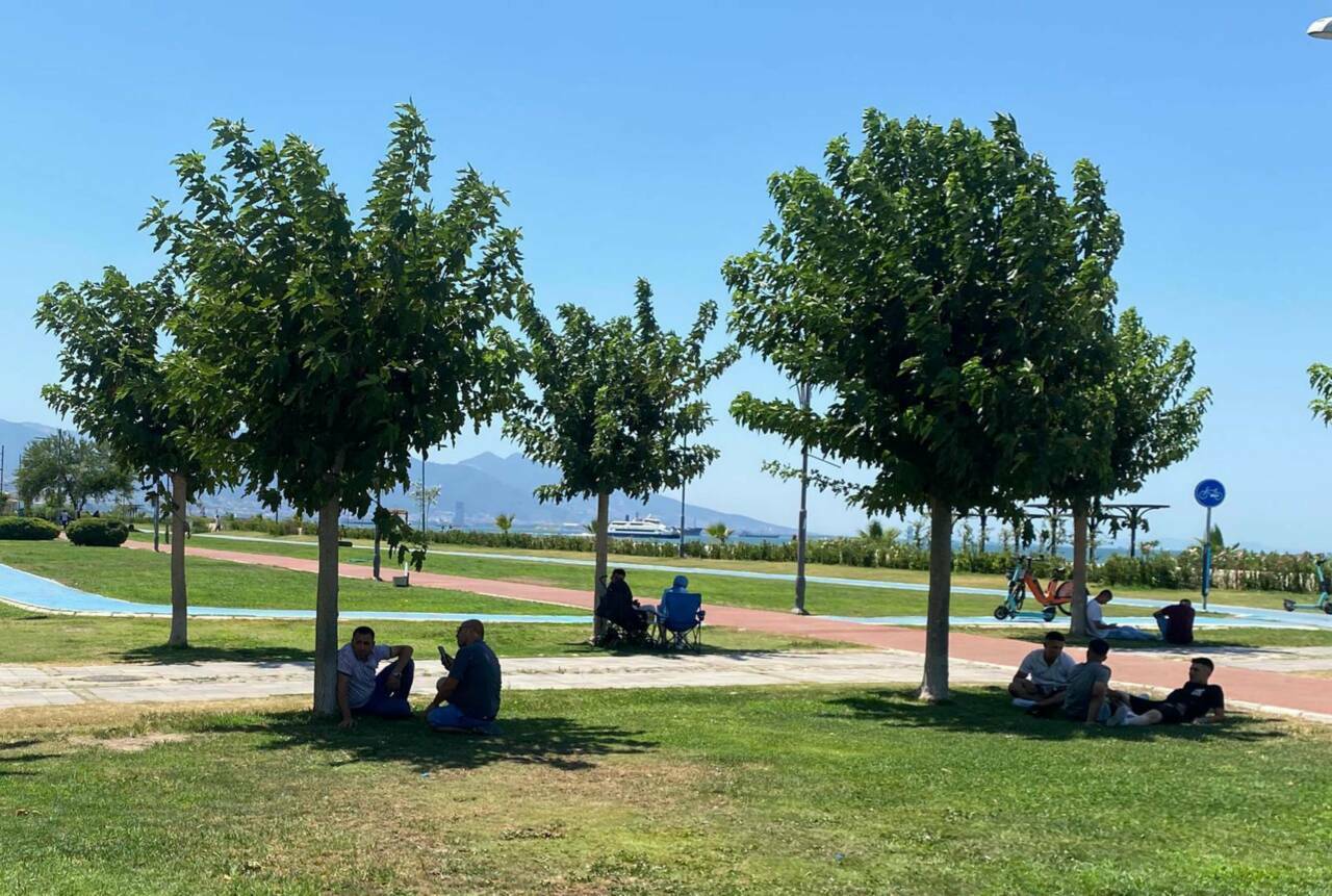 Aşırı sıcaklar kapıda! "Bu sene görülmeyeni görebiliriz!" 1 uzmanlardan sicaklik ve orman yangini uyarisi 50251c1b1f3c