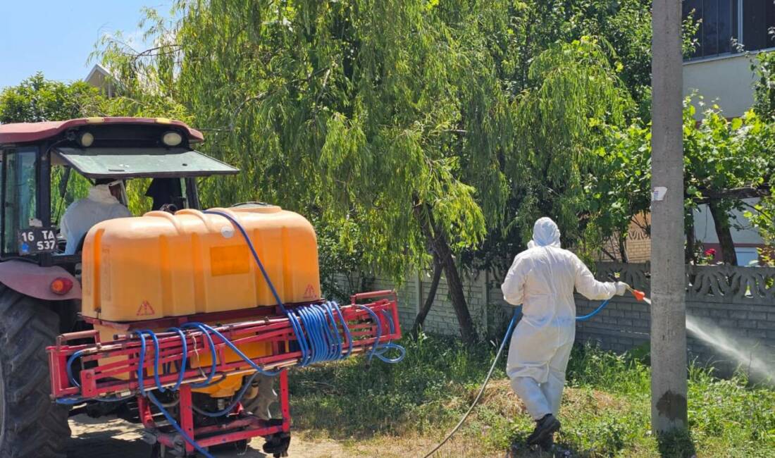 300’den fazla ürüne saldırıyor! Bursa’da düğmeye basıldı Fındıktan elmaya, sebzelerden mısıra kadar 300’ün üzerinde bitkide ciddi zarara