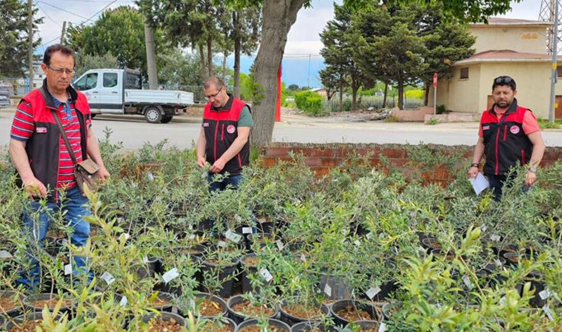 Bursa İl Tarım ve Orman Müdürlüğü, mavi sertifikalı fidan üretimi