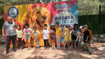 Yıldırım Belediyesi Sahip Sokak Hayvanları Tedavi Merkezi ve Doğal Yaşam