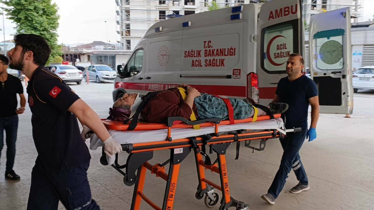 Yer: Bursa... Yaşlı kadın kiraz toplarken... 1 yer bursa yasli kadin kiraz toplarken f95ba9d952b1