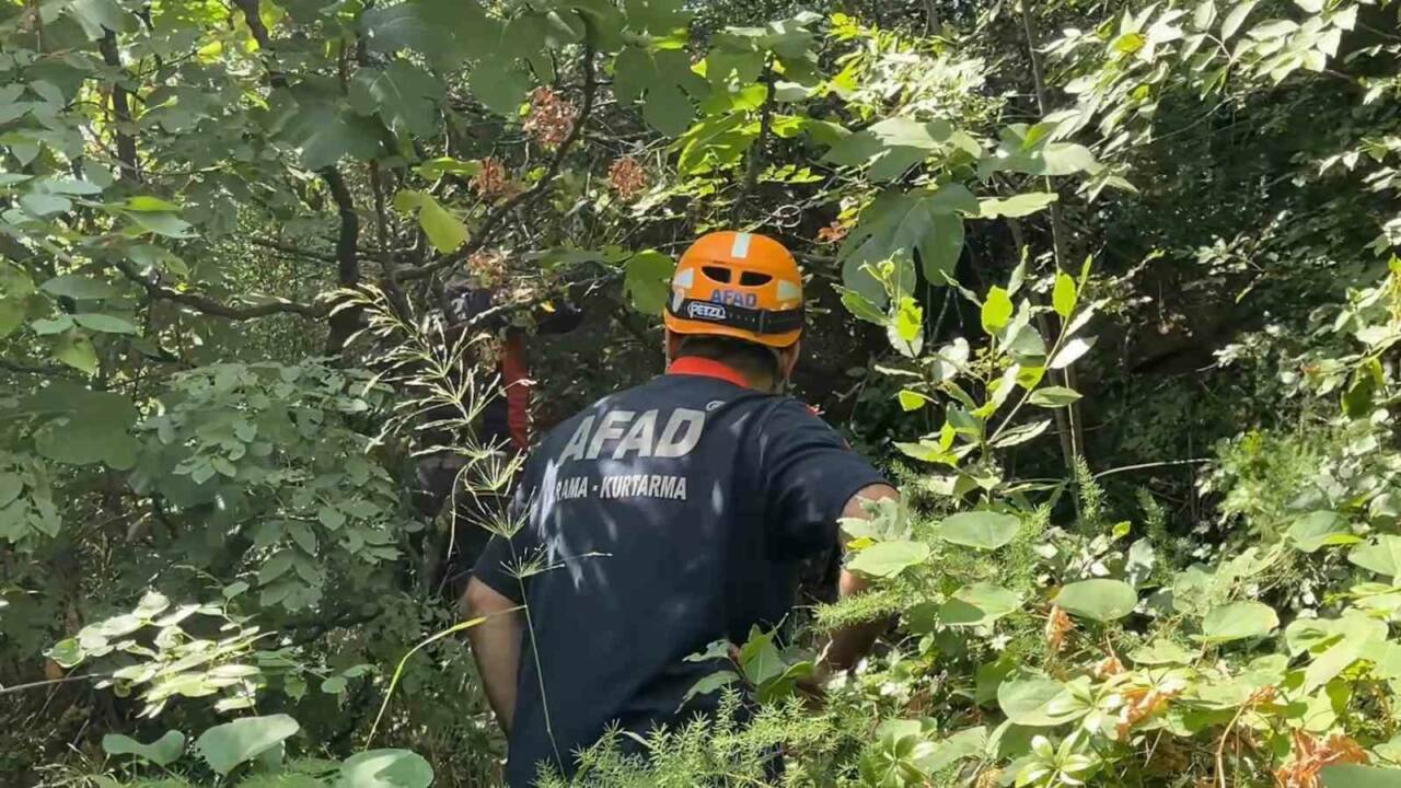 Bursa'da ilginç olay! 10 metreden düşen kadın... 4 10 metreden dusen kadin yardima gelen polislerden kacti a4e01d17e5f7