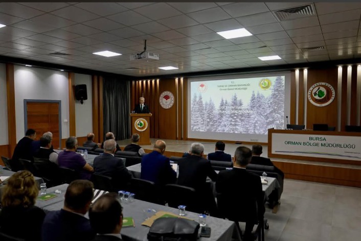 Mudanya Yolu bu yaz sıkışık: Köprüler bitiyor, kazılar sürüyor, sıra yola geldi! 11 5 yazi icin orman genel muduru bekir karacabey bursadaki calistaya katildi38138cesjak