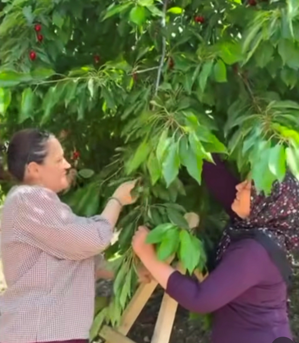 Belediye Meclisi’nde kent siyasetine evet, ama hınç siyasetinin yeri yok!