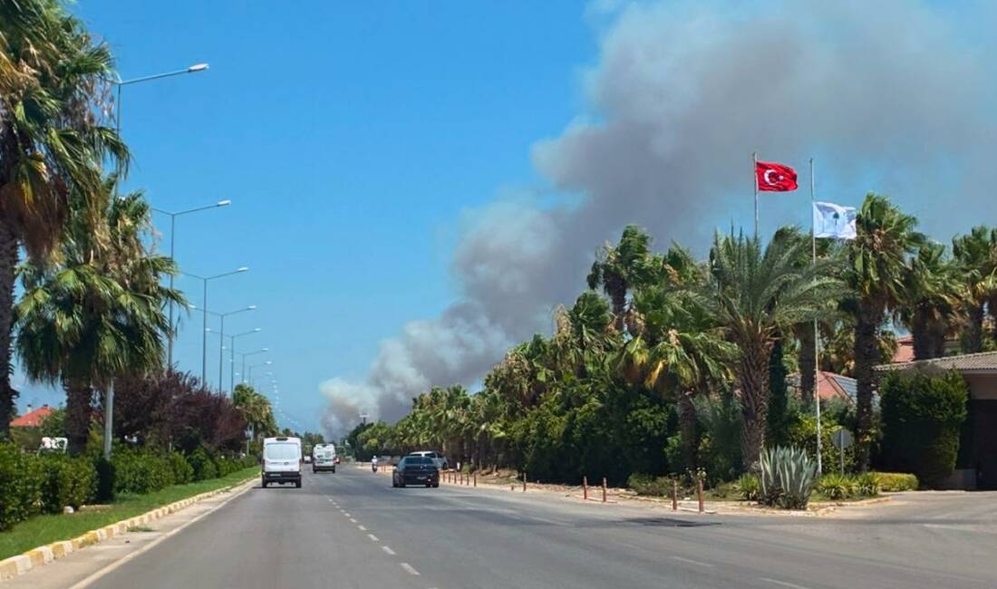 Antalya'nın Kepez ilçesinde orman yangını çıktı. Alevlere havadan ve karadan