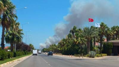 Antalya'nın Kepez ilçesinde orman yangını çıktı. Alevlere havadan ve karadan