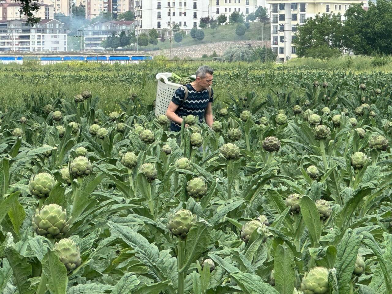 Bursa'da üretim patlaması: Bu ürünle zirveyi zorluyor 4 aw74066502 1