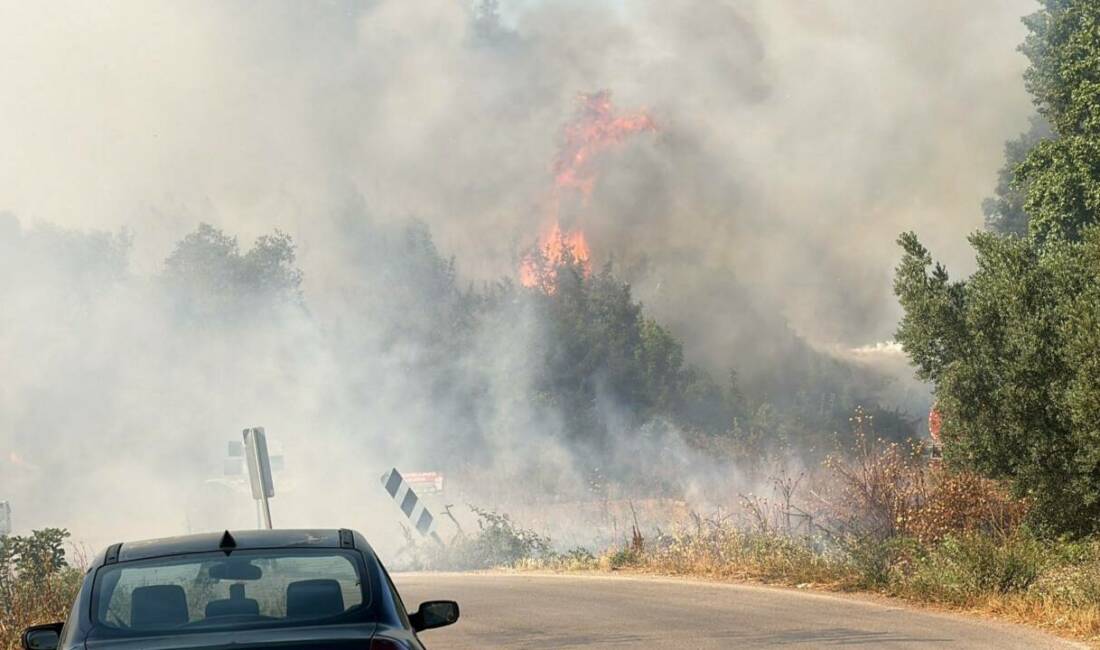 Bursa’da yangın paniği! Ormana sıçradı… Bursa’nın İznik ilçesine bağlı Elbeyli Mahallesi’nde bulunan çöp depolama tesisinde