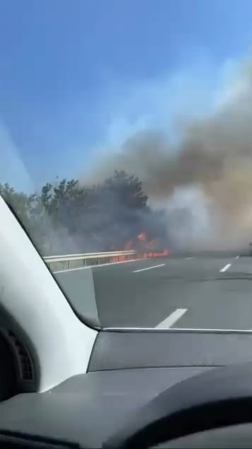 Bursa’da orman yangını Bursa'nın Kestel ilçesinde ormanlık alanda yangın çıktı. Ekiplerin alevlere havadan