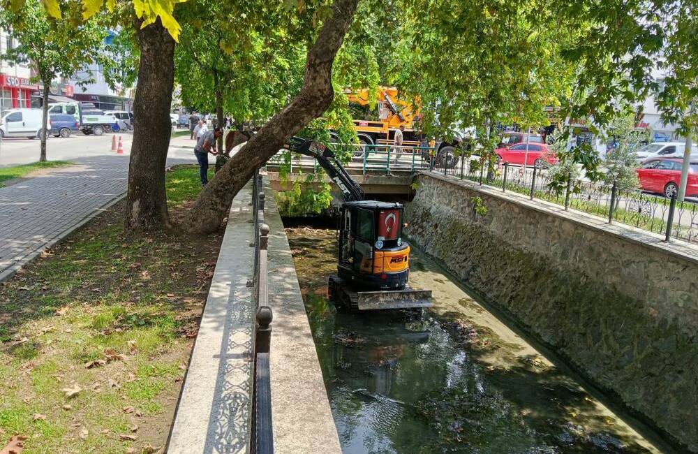 Gemlik ilçe merkezinden geçen Çarşı Deresi'nde temizlik çalışmaları başladı. Bursa