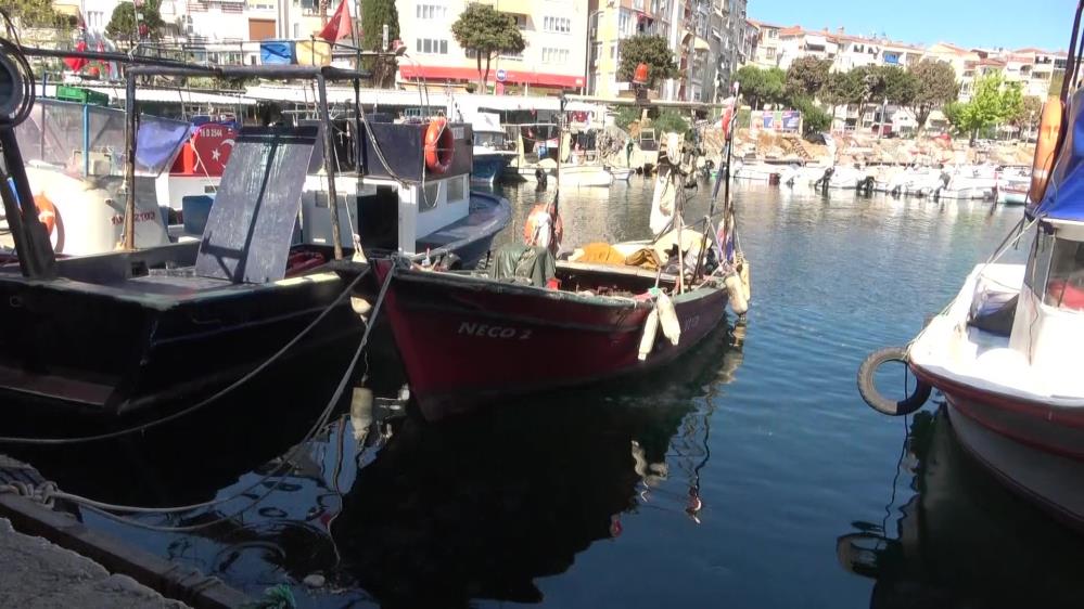 Bursalı balıkçılar isyan etti: '500 liraya kadar düşüyor' 2 aw74564307