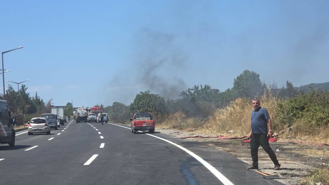Bursa-Yalova Karayolu Orhangazi Süpürgelik mevkiinde yol kenarındaki ağaçlık alan ile