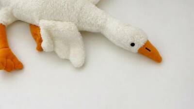 Ticaret Bakanlığı, piyasaya sunulan 'peluş kaz' oyuncağının, güvenlik kriterlerini karşılamadığı