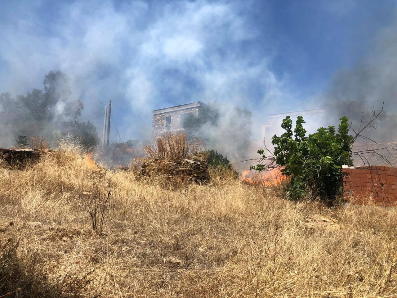 Bodrum'da orman yangını 1 bodrumda orman yangini 2dd57c836f69
