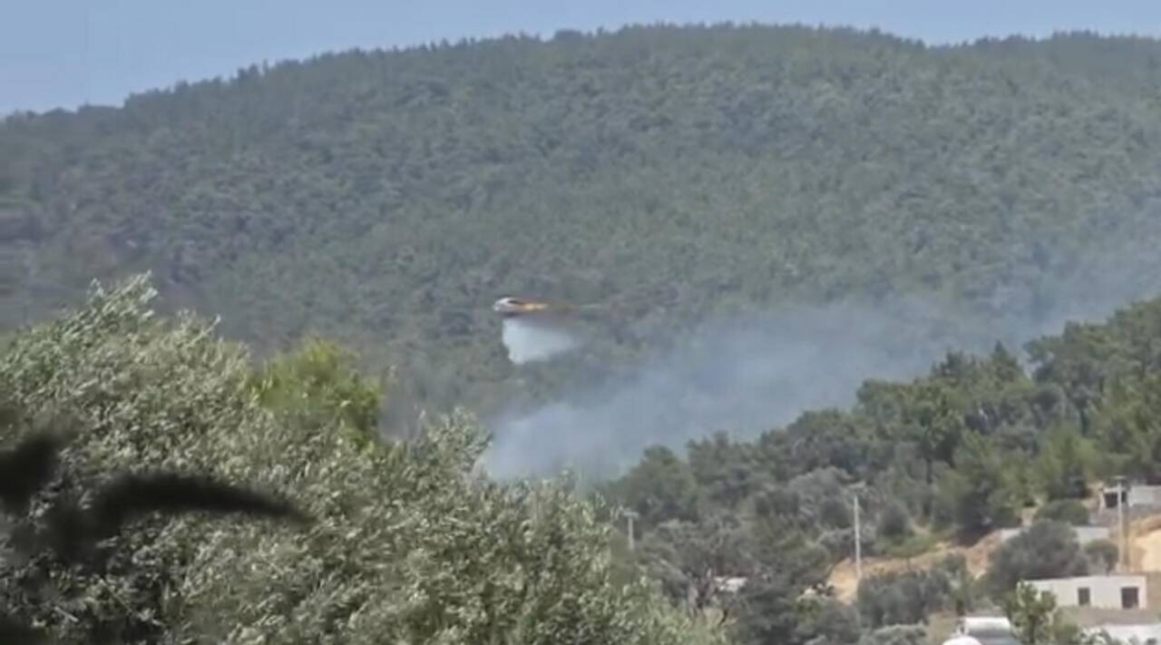 Bodrum'da orman yangını 4 bodrumda orman yangini 6545be277f90