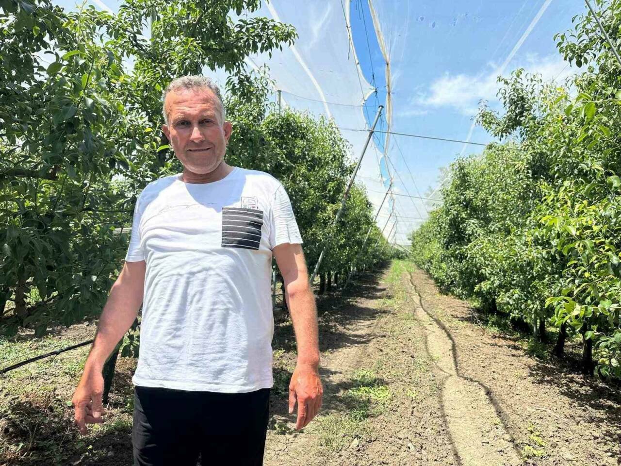 Bursa çiftçisinden dolu tehditine karşı yeni sistem 2 bursa ciftcisinden dolu tehditine karsi yeni sistem 5b85e3031976