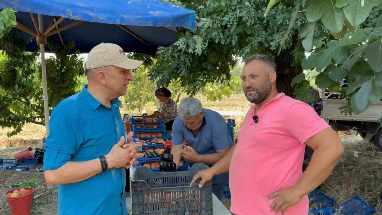 bursa cografi isaretli simge urununde hasat basladi 3aa7b7aa1289