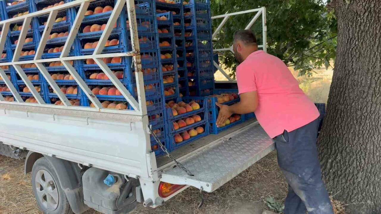 bursa cografi isaretli simge urununde hasat basladi dea24d018af6