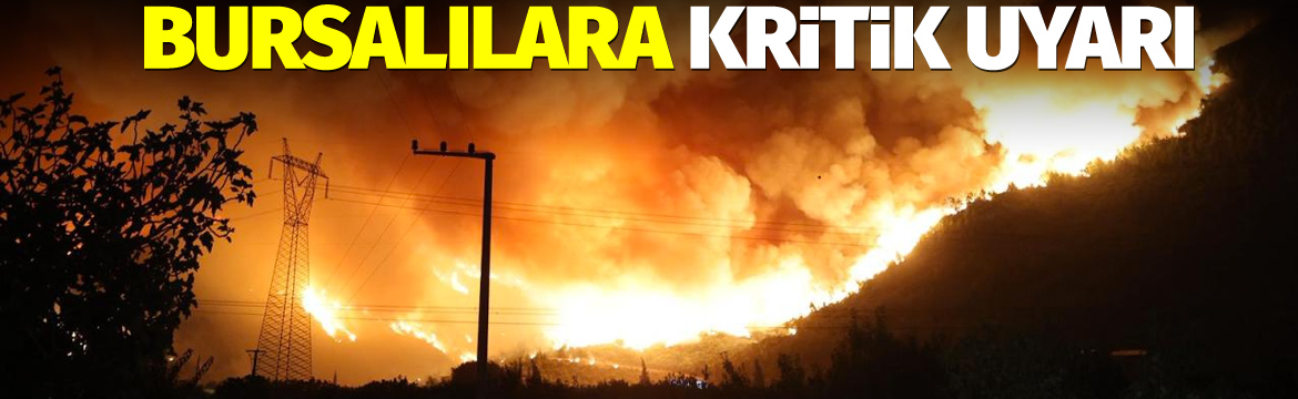 Olay Gazetesi – Ana Sayfa 5 Bursa Orman Bölge Müdürlüğü, hafta