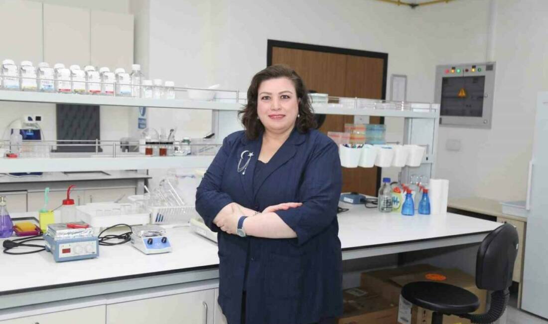 Bursa Teknik Üniversitesi’nden diyabet hastalarına umut olacak çalışma Bursa Teknik Üniversitesi (BTÜ), diyabet hastalarının en önemli sağlık sorunlarından