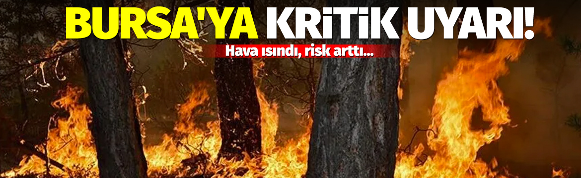 Olay Gazetesi – Ana Sayfa 4 Bursa Orman Bölge Müdürlüğü, hava