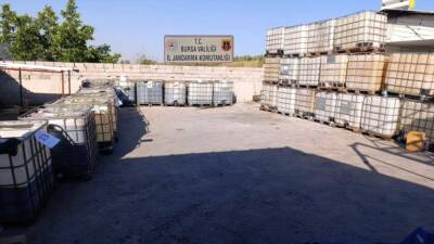 Bursa’da jandarma ekiplerince düzenlenen operasyonda piyasa değeri yaklaşık 10 milyon