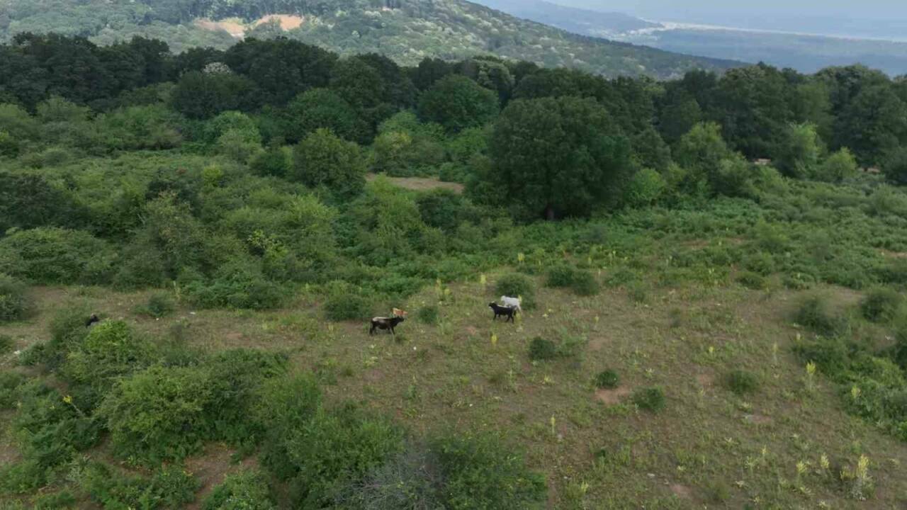 Bursa’da dikkat çeken gelenek! Görenler bir daha bakıyor 5 bursada asirlik gelenek gorenler bir daha bakiyor a52b0ba9c74b