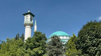 Bursa'nın İnegöl ilçesine bağlı kırsal Cerrah Mahallesi'nde bulunan yaklaşık 100