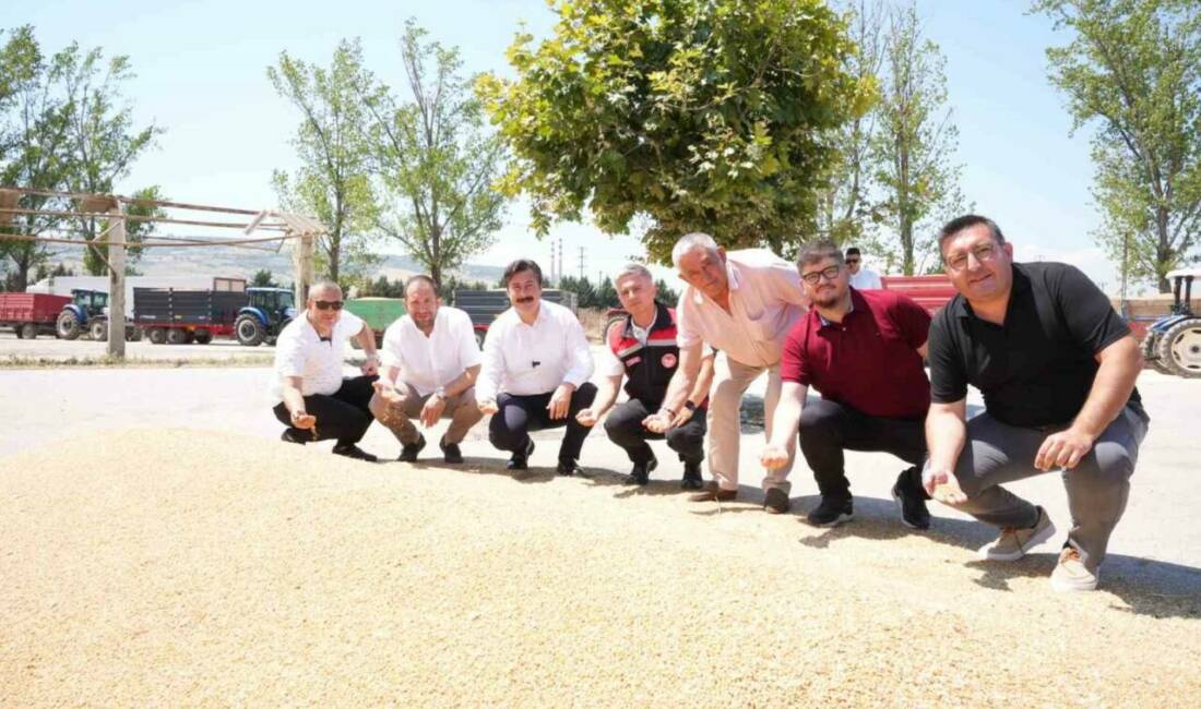 Türkiye’nin en verimli tarım merkezlerinden biri olan Yenişehir’de, Toprak Mahsulleri