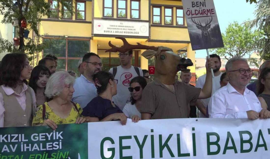 Bursa Veteriner Hekimleri Odası Başkanı Melike Baysal, kızıl geyik av