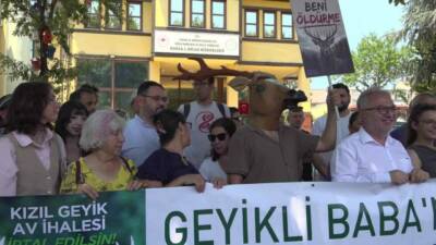 Bursa Veteriner Hekimleri Odası Başkanı Melike Baysal, kızıl geyik av